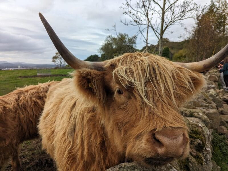 Private Tour of Loch Ness, Pitlochry, Glencoe and Highlands - An In-Depth Look at the Highland Adventure