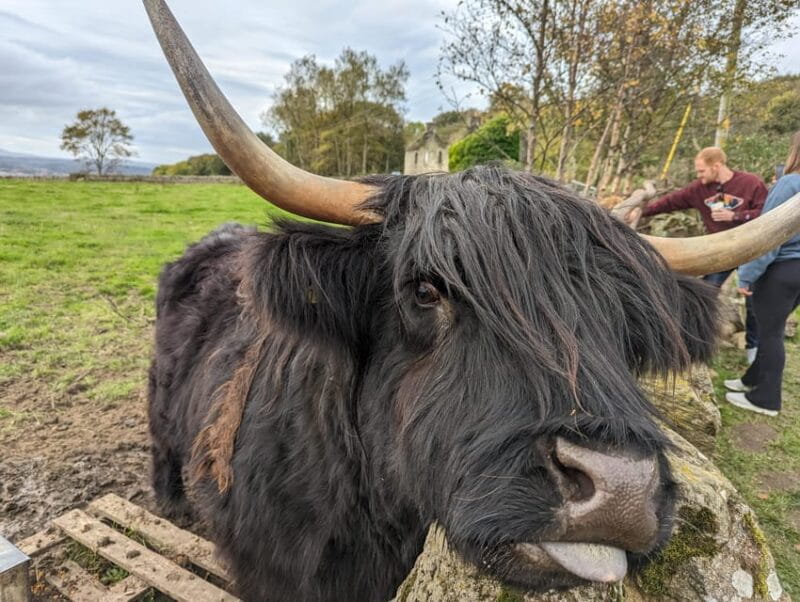 Private Tour of Loch Ness, Pitlochry, Glencoe and Highlands - FAQ