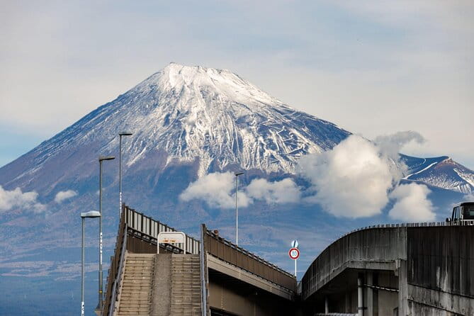 Private Tour of Mount Fuji With Kawaguchi Lake and Oshino Hakkai - Reviews and Feedback From Travelers