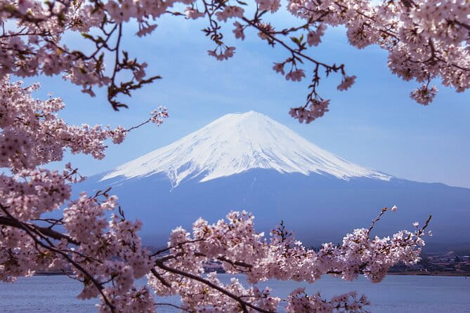 Private Tour of Mount Fuji With Kawaguchi Lake and Oshino Hakkai - Cancellation Policy and Booking Options
