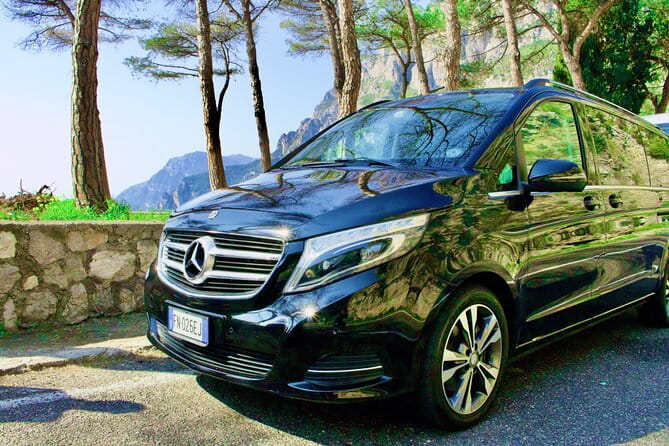 Private tour of Pompeii and Vesuvius from Sorrento or Naples - Climbing Vesuvius: A Volcanic Wonderland