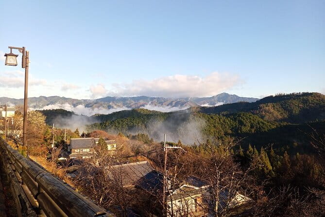 Private Tour of Rural Japan Mountains, Onsen and Craft Beer - Rejuvenating Onsen Experience