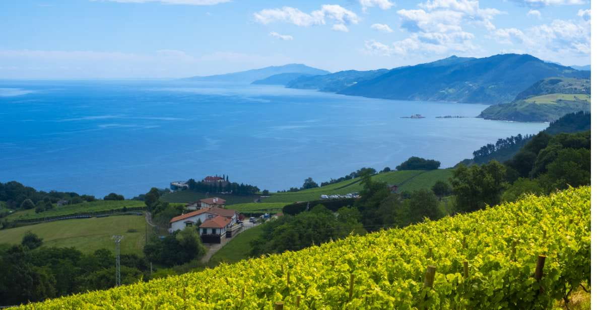 Private Tour of San Sebastian and Getaria With Txakoli Tasting - Key Points