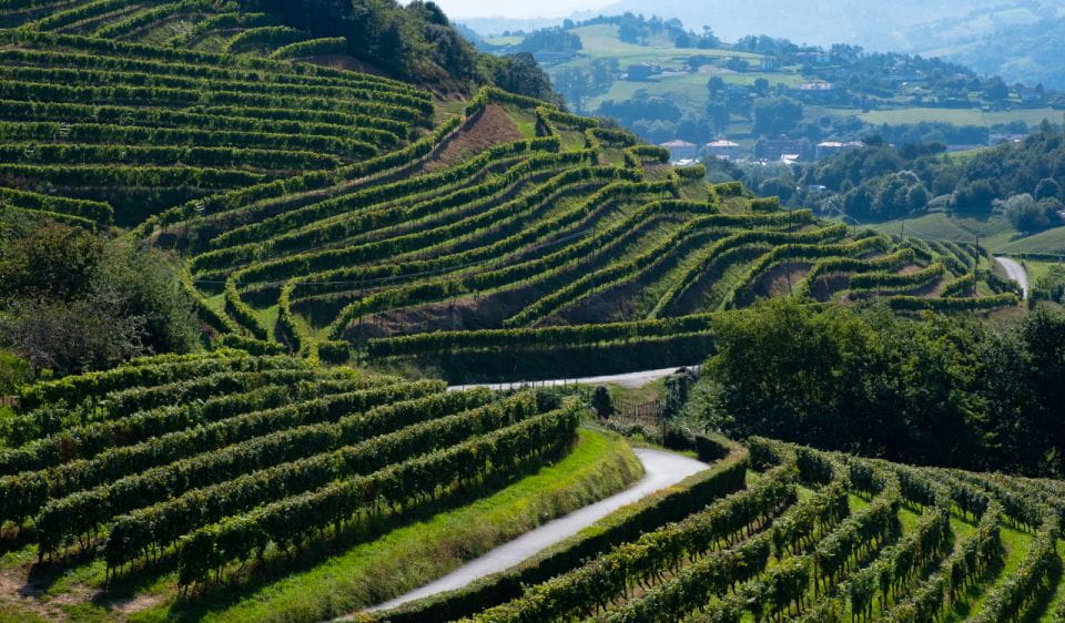 Private Tour of San Sebastian and Getaria With Txakoli Tasting - Guided Tour With Expert