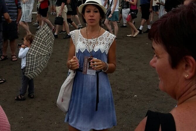 Private tour of the Pompeii excavations - Price, Logistics, and Practical Tips