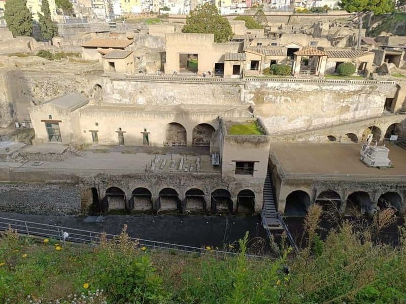 Private Tour of the Ruins of Herculaneum and Vesuvius: with Tickets Included - Why This Tour Offers Great Value for the Experience