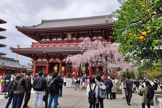 Private Tour of the Secret Corners of Tokyo - The Sum Up