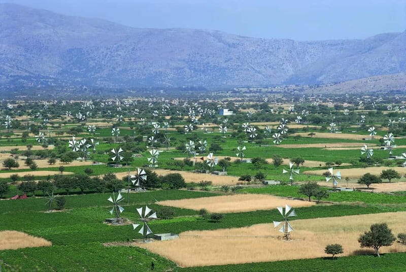 Private Tour, Olive Mill, Scotino Cave, Lasithi Plateau H/D - Key points / Takeaways