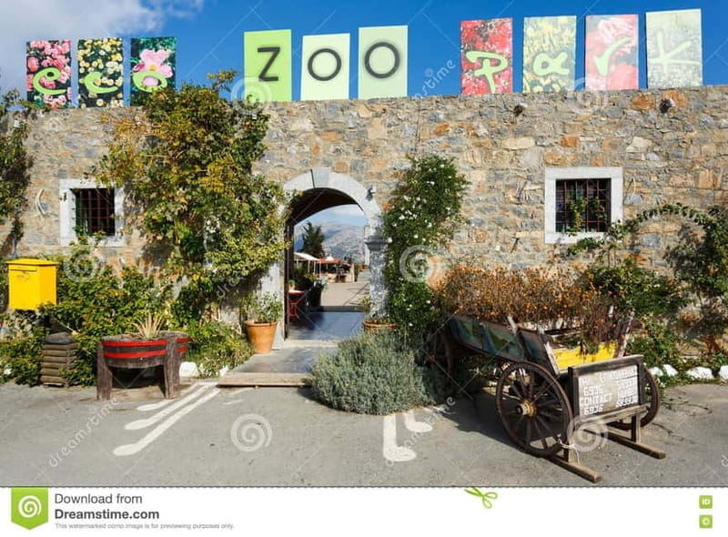 Private Tour, Olive Mill, Scotino Cave, Lasithi Plateau H/D - Entering the Heart of Crete: A Day in Detail