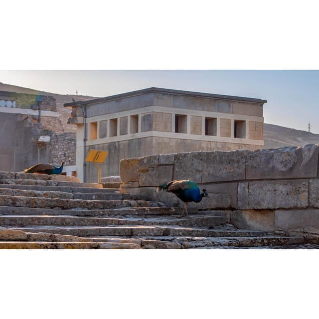 Private Tour: Palace of Knossos - Key points / Takeaways