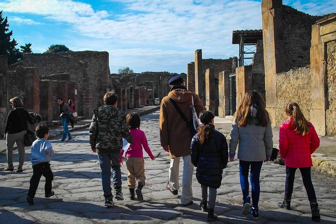 Private Tour: Pompeii Tour With Family Tour Option - Cancellation Policy