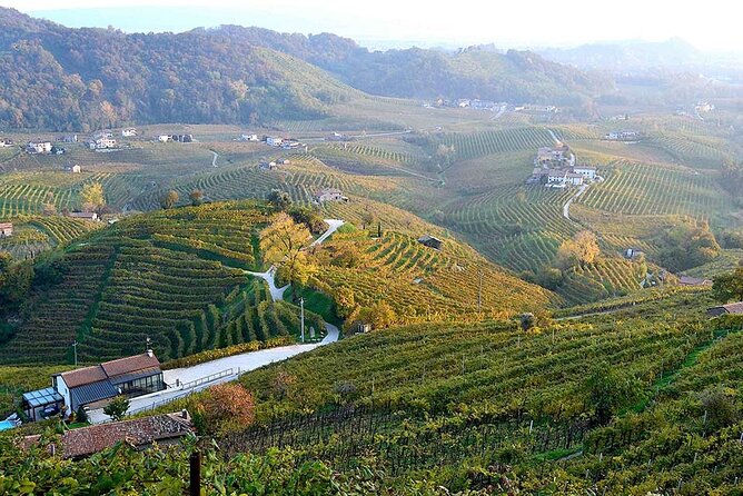 Private Tour: Prosecco Wine Tasting Day Trip With Lunch From Venice - Cancellation Policy