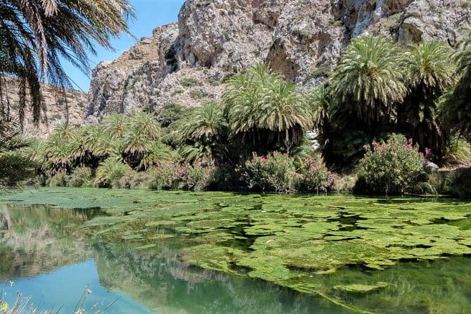 Private Tour Rethymno: Spili, Preveli, Kourtaliotiko, Old Town - FAQ