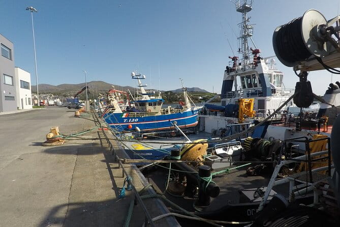 Private Tour: Ring of Beara from Kenmare. - Key points / Takeaways