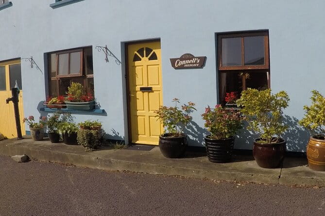 Private Tour: Ring of Beara from Kenmare. - Transport, Timing, and Comfort