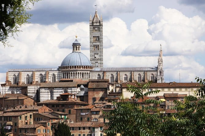 Private Tour: Siena Walking Tour - In-Depth Review of the Siena Walking Tour