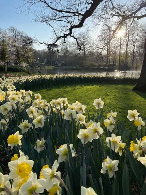 Private Tour, Tesla from Amsterdam: Keukenhof & Tulip Fields - Final Thoughts