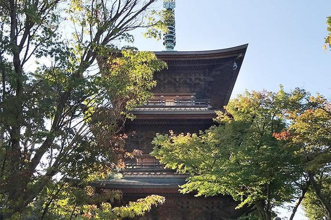 Private Tour - Thousands of Lucky Cats! Go by Tram, Gotokuji Tour - Cost Breakdown