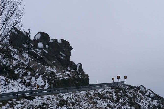 Private Tour through Serra da Estrela Park and its famous cheese - A Well-Rounded Day in Serra da Estrela
