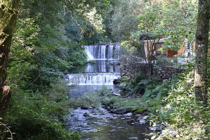 Private Tour to Arouca 516 Bridge and Passadiços do Paiva - Exploring the Highlights of the Arouca Region
