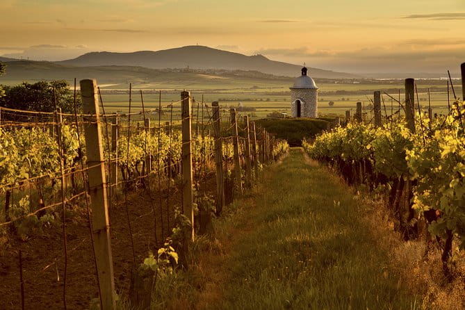Private Tour to Czech Wine Regions - Lednice and Valtice - Who Will Love This Tour?