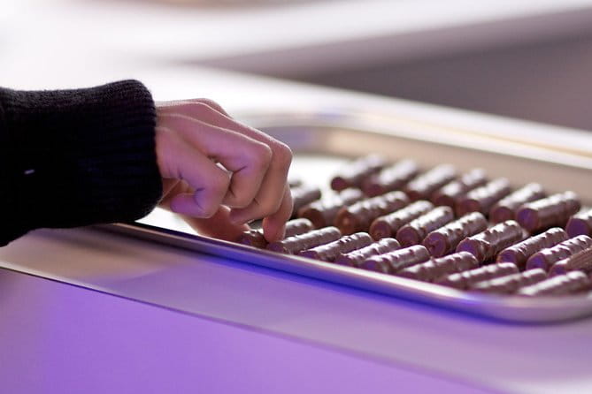 Private Tour to Gruyères, Chocolate & Cheese Factory from Geneva - Key points / Takeaways