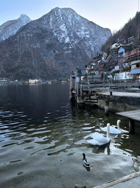 Private Tour to Hallstatt & Salzburg  Comfort and Elegance - Key points / Takeaways