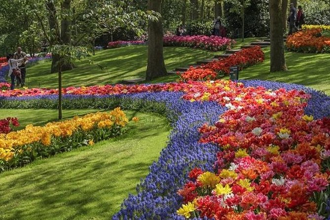 Private Tour to Keukenhof Gardens With Guide - Full Day Tour From Amsterdam - Reviews