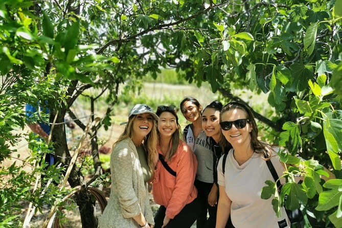 Private tour to Krka waterfalls- Lunch included - How the Logistics Play Out