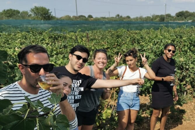 Private tour to Krka waterfalls- Lunch included - Who Would Love This Tour?