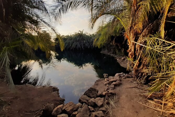 Private Tour to Materuni Waterfalls, Coffee Tour & Kikuletwa Hot- Springs - Reviews and Pricing