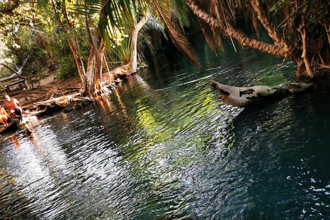 Private Tour to Materuni Waterfalls, Coffee Tour & Kikuletwa Hot- Springs - Exploring Materuni Waterfalls