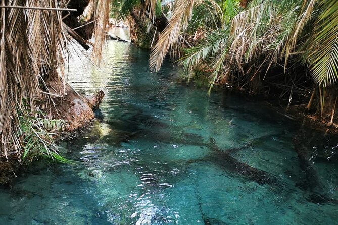 Private Tour to Materuni Waterfalls, Coffee Tour & Kikuletwa Hot- Springs - Visiting the Coffee Farm