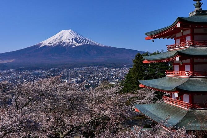 Private Tour to Mount Fuji With an English Driver From Tokyo - Pickup and Meeting Details