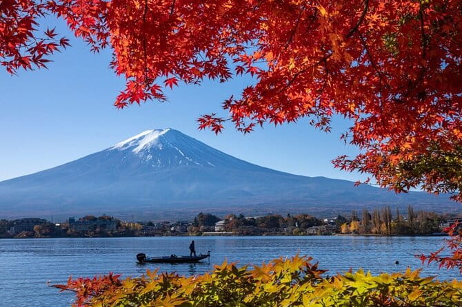 Private Tour to Mount Fuji With an English Driver From Tokyo - Tour Conditions and Requirements