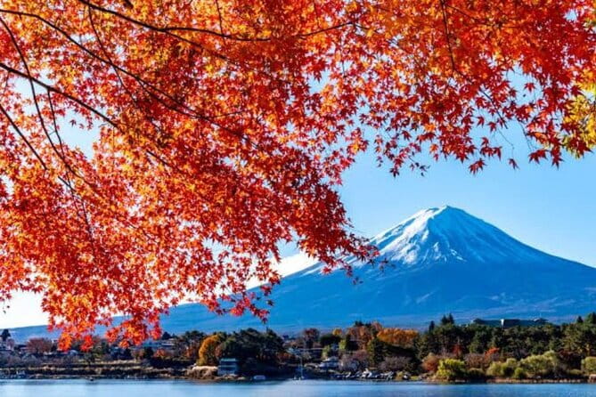 Private Tour to Mount Fuji With an English Driver From Tokyo - Exploring Mount Fuji