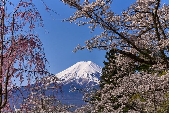 Private Tour to Mount Fuji With an English Driver From Tokyo - Discovering Lake Kawaguchi