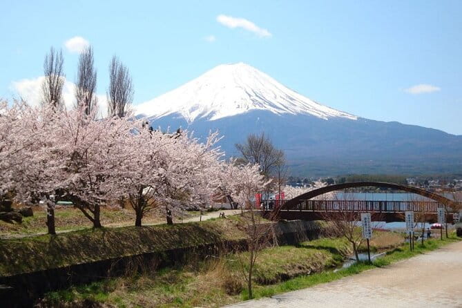 Private Tour to Mount Fuji With an English Driver From Tokyo - Itinerary and Inclusions