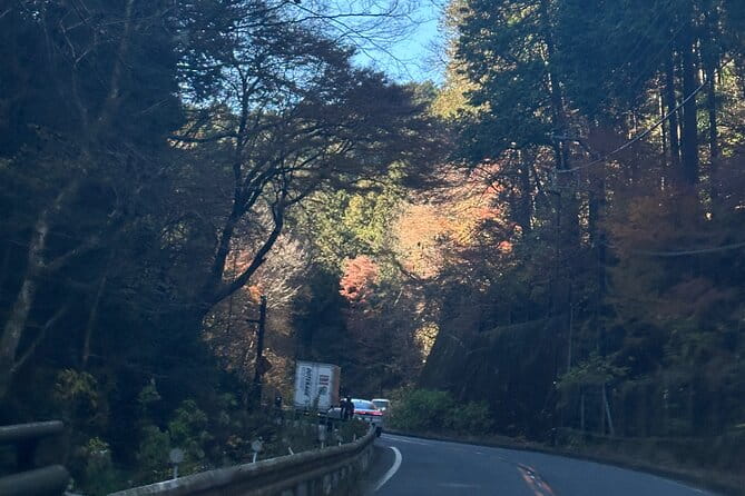 Private Tour to Mt Fuji and Hakone With English Speaking Driver - Highlights of the Tour