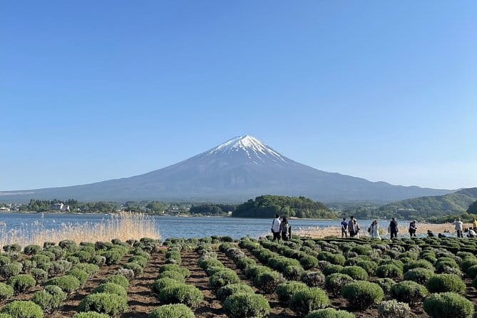 Private Tour to Mt Fuji and Hakone With English Speaking Driver - Accessibility and Additional Information
