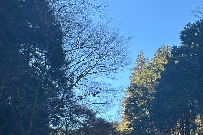 Private Tour to Mt Fuji and Hakone With English Speaking Driver - Inclusions and Exclusions