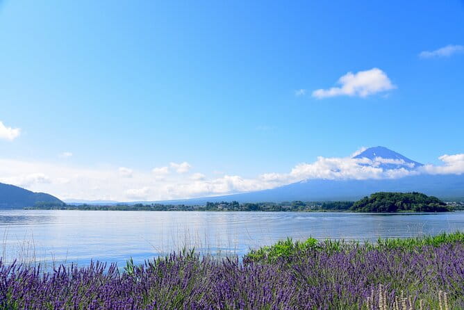 Private Tour to Mt Fuji, Lake Kawaguchi With Limousine and Driver - Why Choose a Private Tour for Your Mt Fuji Adventure