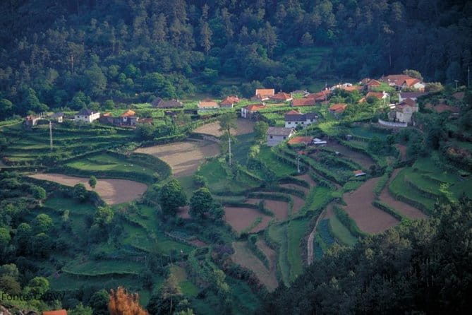 Private tour to Ponte de Lima, Vinho Verde region - The Cultural and Historical Heart of Ponte de Lima