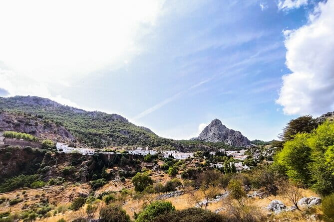 Private tour to Ronda from Seville (several options) - Who Will Love This Tour?