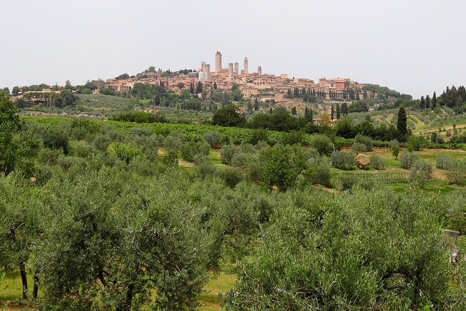 Private Tour to Siena and San Gimignano With Wine Tasting & Lunch - Tuscan Countryside Drive