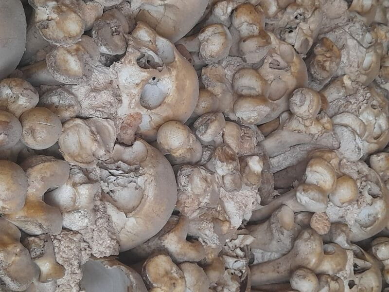 Private Tour to Silves Castle Whith Algarvian Wine Tasting - FAQ