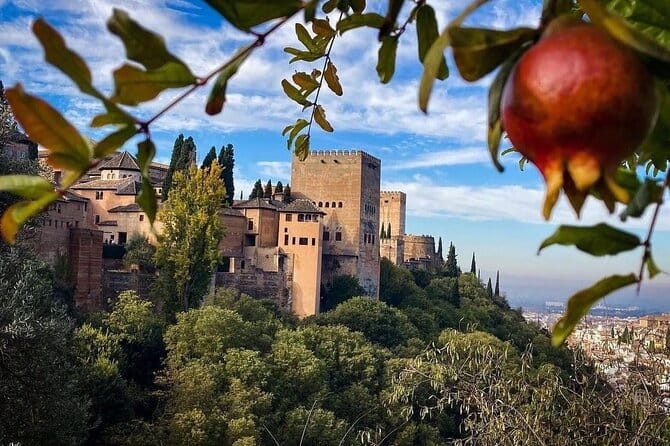 Private Tour to The Alhambra and Generalife from Motril port - Price and Value: Is It Worth It?