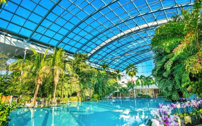 PRIVATE TOUR to Therme Bucuresti Entrance Ticket included - The Route to Relaxation: What to Expect
