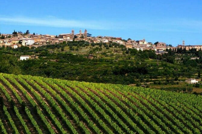 Private tour Wine and cheese a perfect combinations val 'Orcia - Exploring Tuscany’s Charm: A Day of Wine, Cheese, and Scenic Splendors