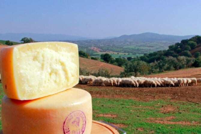 Private tour Wine and cheese a perfect combinations val 'Orcia - Who This Tour Is Perfect For